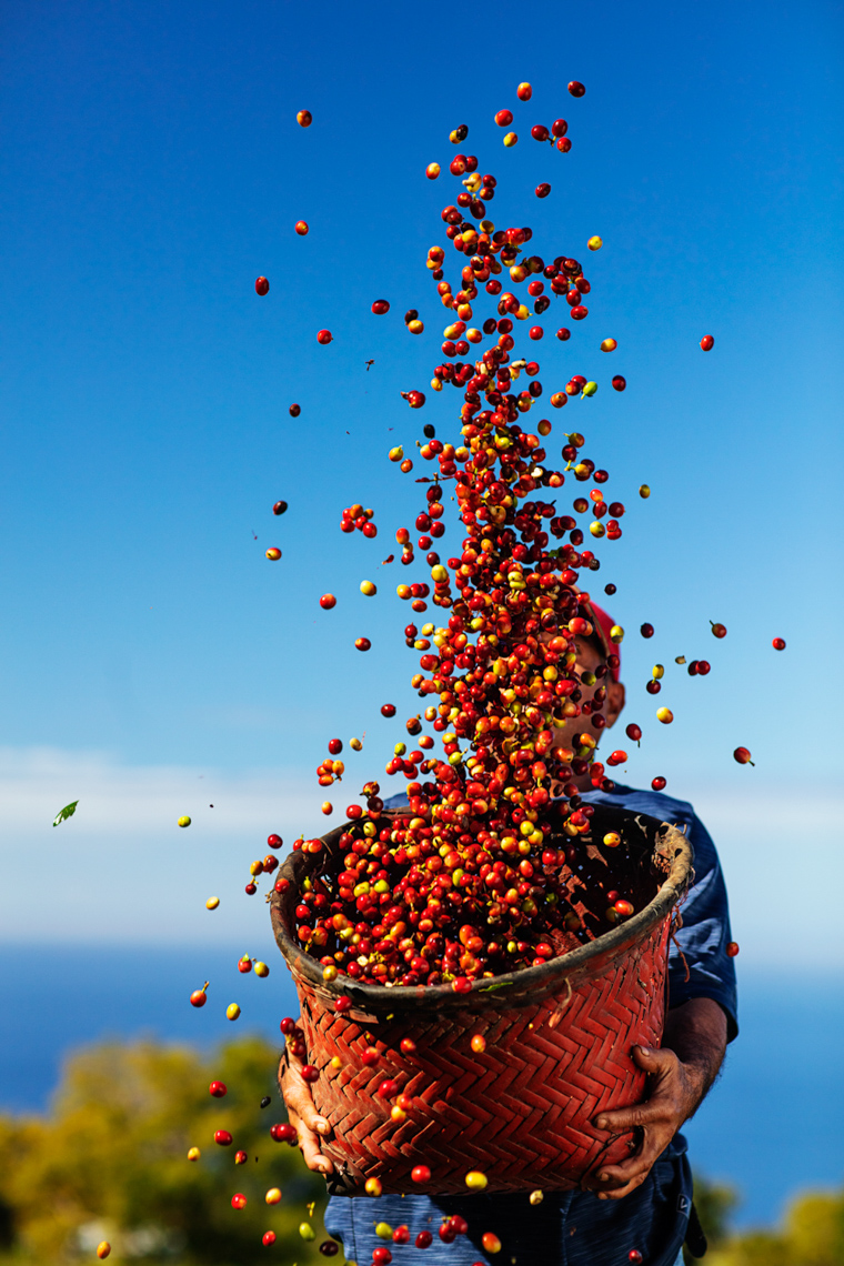 2020_Nespresso_Kona-2072